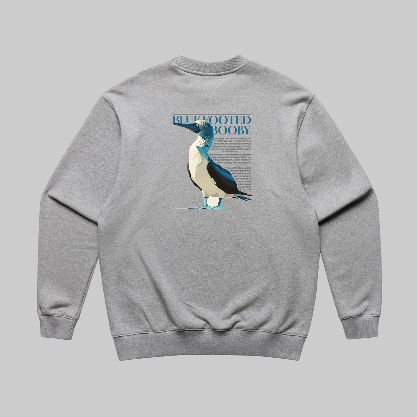 Blue Footed Booby Sweater - Grijs